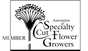 Association of Specialty Cut Flower Growers Member Logo